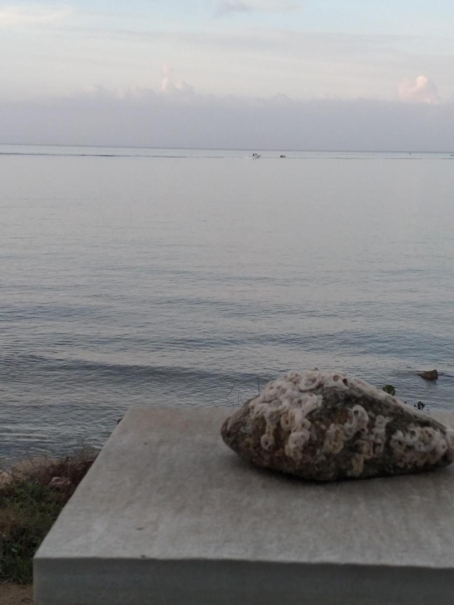 Naxos City Albatross Seafront House 아파트 외부 사진